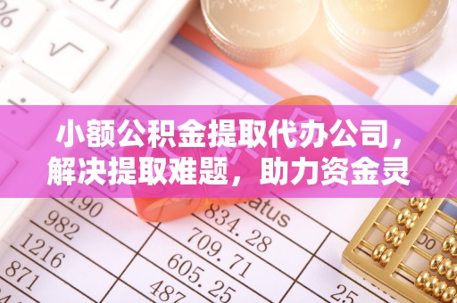 龙子湖小额公积金提取代办公司，解决提取难题，助力资金灵活使用