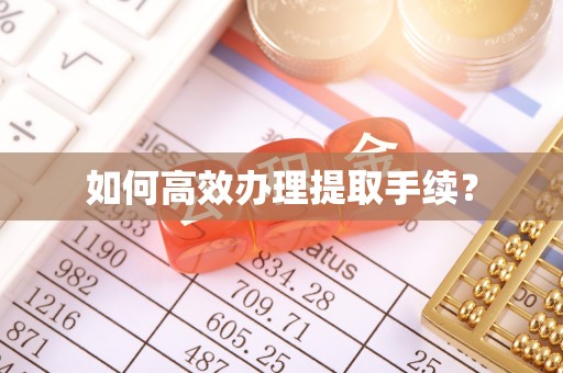龙子湖如何高效办理提取手续？
