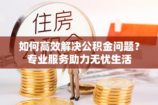 龙子湖如何高效解决公积金问题？专业服务助力无忧生活