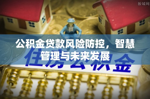 龙子湖公积金贷款风险防控，智慧管理与未来发展