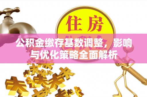 龙子湖公积金缴存基数调整，影响与优化策略全面解析