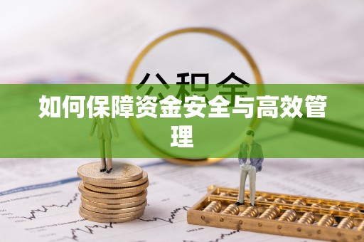 龙子湖如何保障资金安全与高效管理