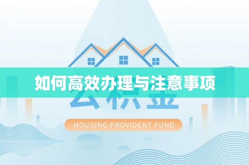 龙子湖如何高效办理与注意事项