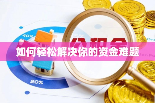 龙子湖如何轻松解决你的资金难题