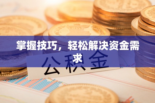 龙子湖掌握技巧，轻松解决资金需求