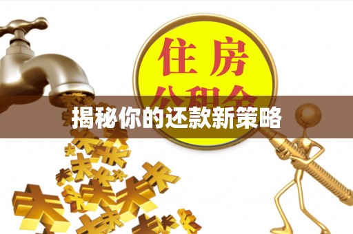 龙子湖揭秘你的还款新策略