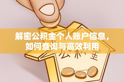 龙子湖解密公积金个人账户信息，如何查询与高效利用
