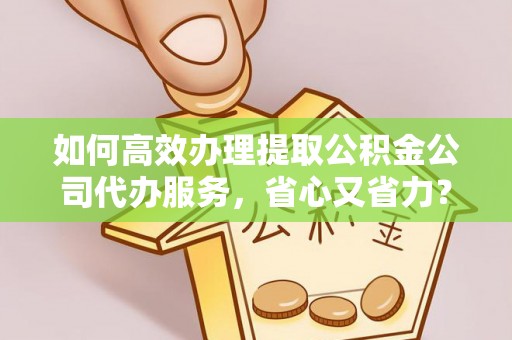 龙子湖如何高效办理提取公积金公司代办服务，省心又省力？