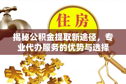龙子湖揭秘公积金提取新途径，专业代办服务的优势与选择