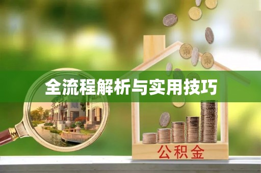 龙子湖全流程解析与实用技巧