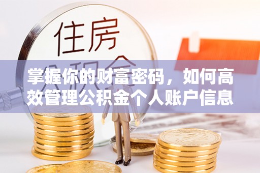 龙子湖掌握你的财富密码，如何高效管理公积金个人账户信息