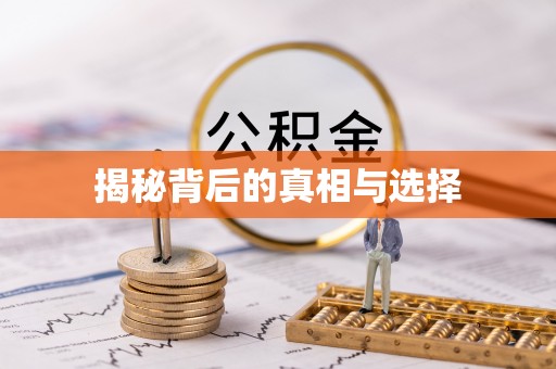 龙子湖揭秘背后的真相与选择