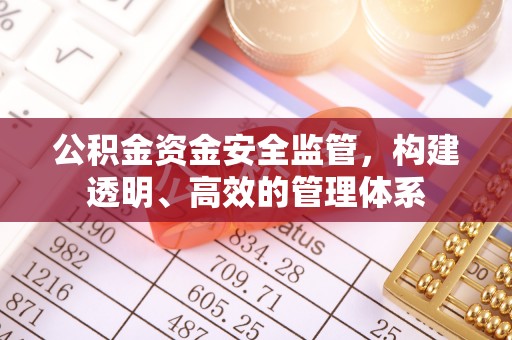 龙子湖公积金资金安全监管，构建透明、高效的管理体系