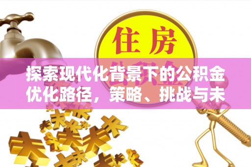 龙子湖探索现代化背景下的公积金优化路径，策略、挑战与未来展望