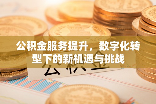 龙子湖公积金服务提升，数字化转型下的新机遇与挑战