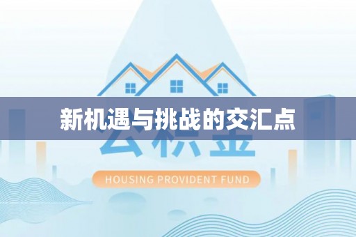 龙子湖新机遇与挑战的交汇点