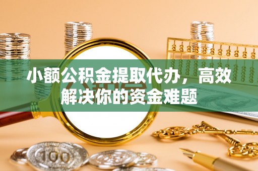 龙子湖小额公积金提取代办，高效解决你的资金难题