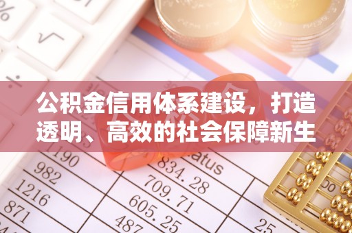 龙子湖公积金信用体系建设，打造透明、高效的社会保障新生态