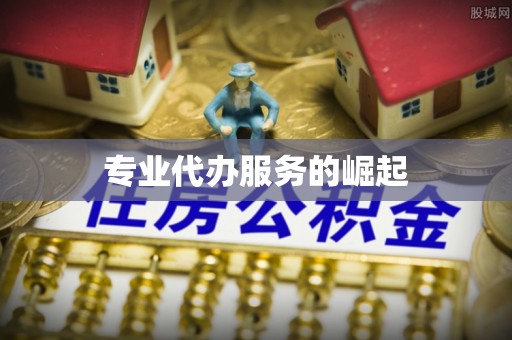 龙子湖专业代办服务的崛起