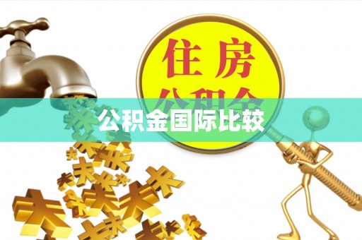 龙子湖公积金国际比较