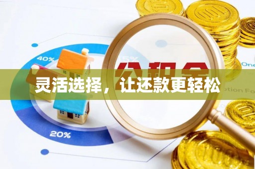 龙子湖灵活选择，让还款更轻松