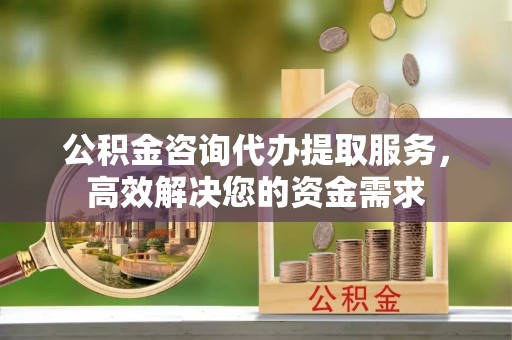 龙子湖公积金咨询代办提取服务，高效解决您的资金需求