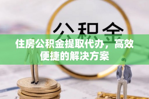 龙子湖住房公积金提取代办，高效便捷的解决方案