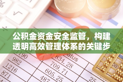 龙子湖公积金资金安全监管，构建透明高效管理体系的关键步骤
