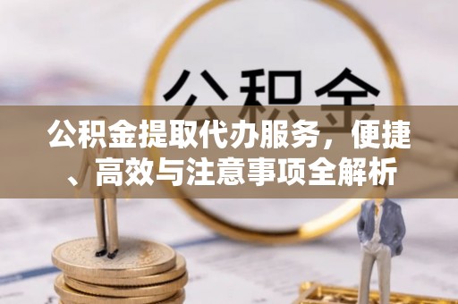 龙子湖公积金提取代办服务，便捷、高效与注意事项全解析