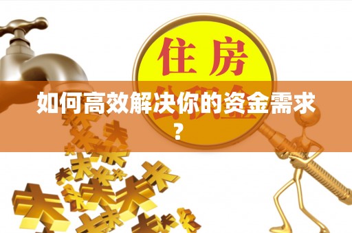 龙子湖如何高效解决你的资金需求？