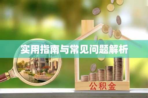 龙子湖实用指南与常见问题解析