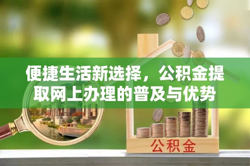龙子湖便捷生活新选择，公积金提取网上办理的普及与优势