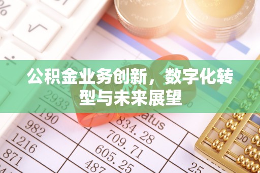 龙子湖公积金业务创新，数字化转型与未来展望