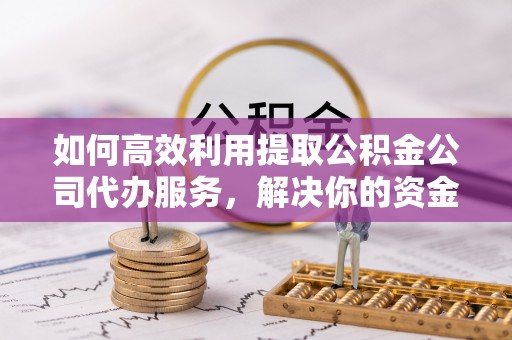 龙子湖如何高效利用提取公积金公司代办服务，解决你的资金难题