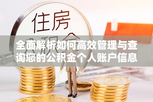 龙子湖全面解析如何高效管理与查询您的公积金个人账户信息