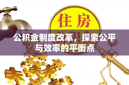 龙子湖公积金制度改革，探索公平与效率的平衡点