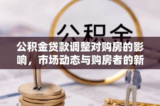 龙子湖公积金贷款调整对购房的影响，市场动态与购房者的新选择