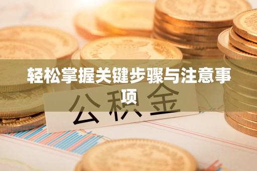 龙子湖轻松掌握关键步骤与注意事项