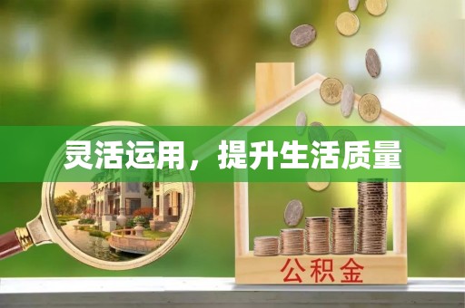 龙子湖灵活运用，提升生活质量