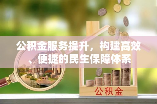 龙子湖公积金服务提升，构建高效、便捷的民生保障体系