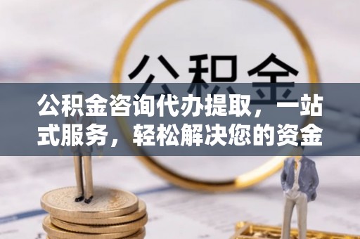 龙子湖公积金咨询代办提取，一站式服务，轻松解决您的资金需求