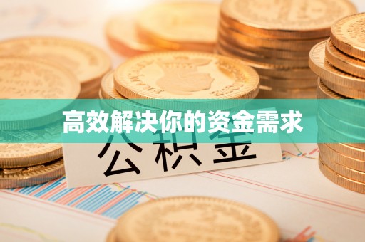 龙子湖高效解决你的资金需求