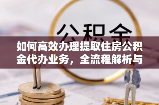 龙子湖如何高效办理提取住房公积金代办业务，全流程解析与实用建议