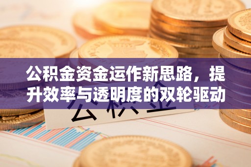龙子湖公积金资金运作新思路，提升效率与透明度的双轮驱动