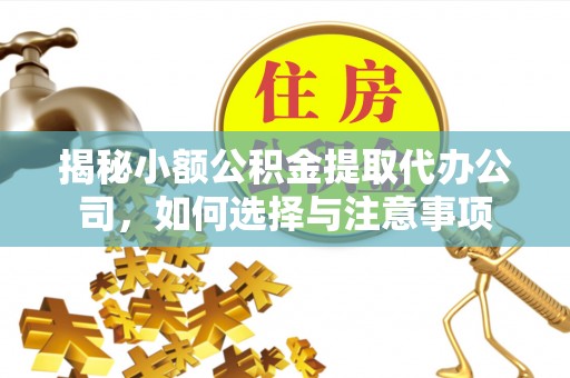 龙子湖揭秘小额公积金提取代办公司，如何选择与注意事项