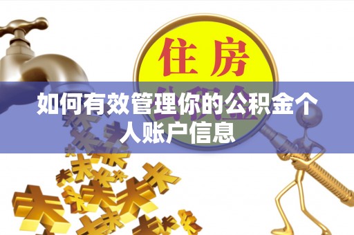 龙子湖如何有效管理你的公积金个人账户信息