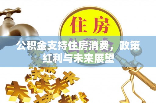 龙子湖公积金支持住房消费，政策红利与未来展望