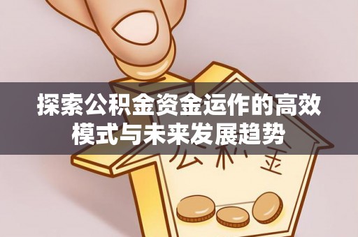 龙子湖探索公积金资金运作的高效模式与未来发展趋势