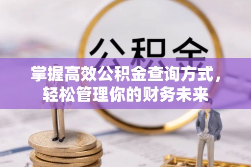 龙子湖掌握高效公积金查询方式，轻松管理你的财务未来