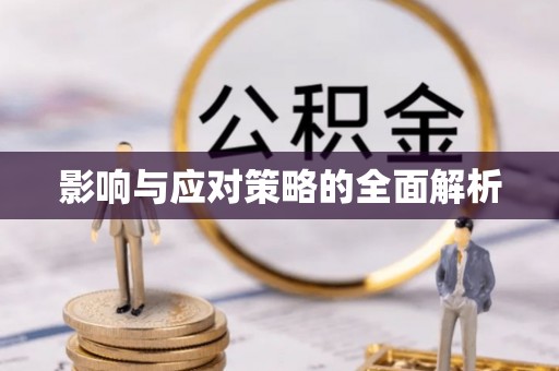 龙子湖影响与应对策略的全面解析